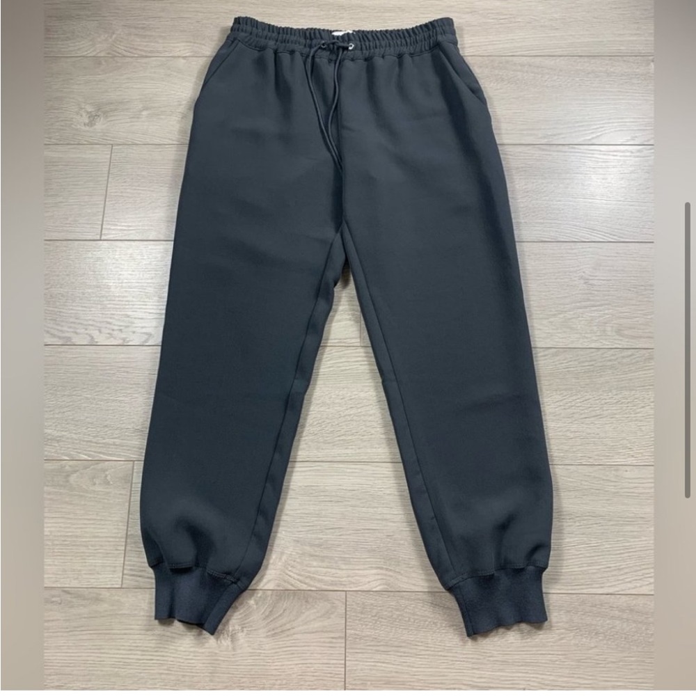 Grey Aritzia Wilfred Jogger Pants